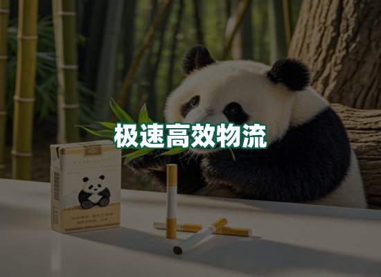核心优势